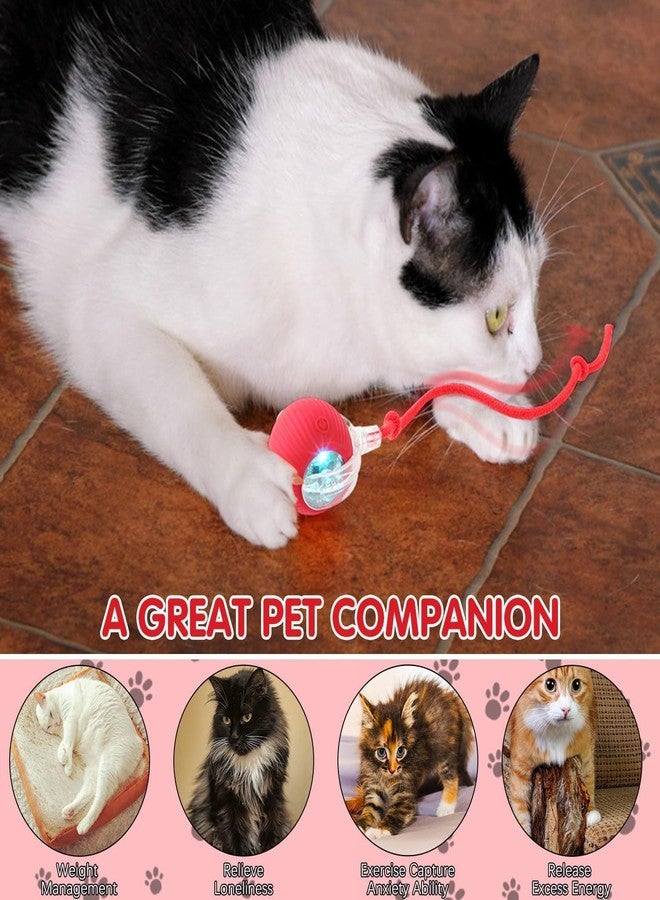PRETOX Interactive Cat Toy - Cat Toys for Indoor Cats Smart Silicone Rolling Ball with Tail,Bird Sound,Obstacle Avoidance and Motion Activated,Kitten Puzzle Toys 1 PCS (Multicolor) - Image 2